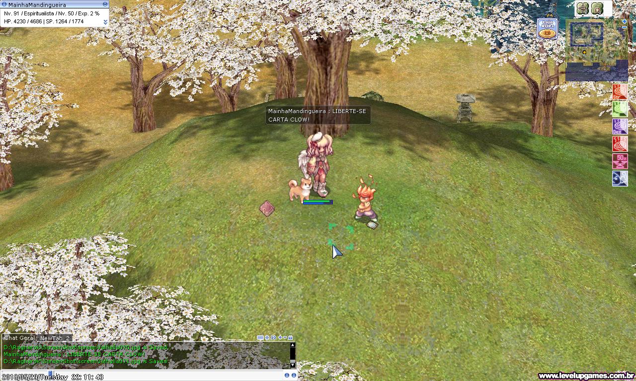 Sugestões de Itens [2018] - Página 43 - bROWiki - Ragnarok Online Brasil -  Fórum