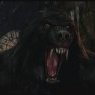 The LycaN